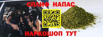 индика Ливны