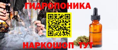 индика Ливны