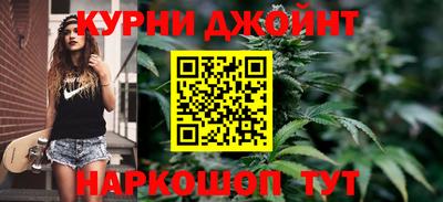 индика Ливны