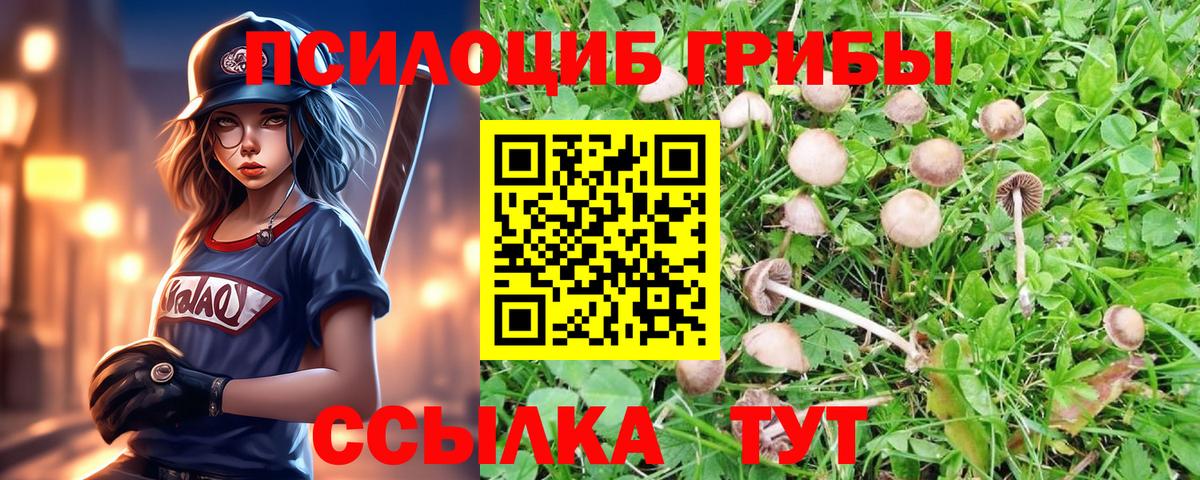 что такое   Вход с VPN  Туапсе  Псилоцибиновые грибы мухоморы 