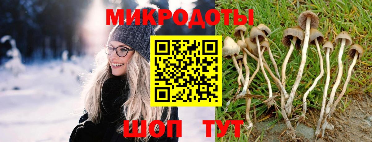 Псилоцибиновые грибы ЛСД Туапсе